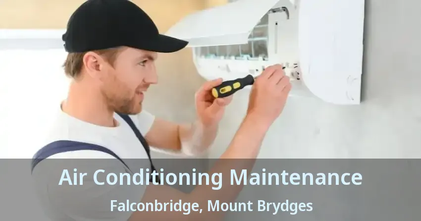 Air Conditioning Maintenance Falconbridge, Mount Brydges - ON