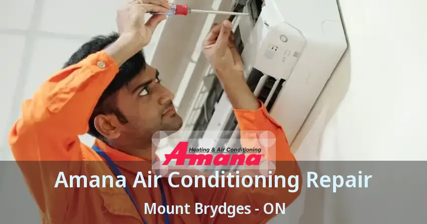 Amana Air Conditioning Repair Mount Brydges - ON