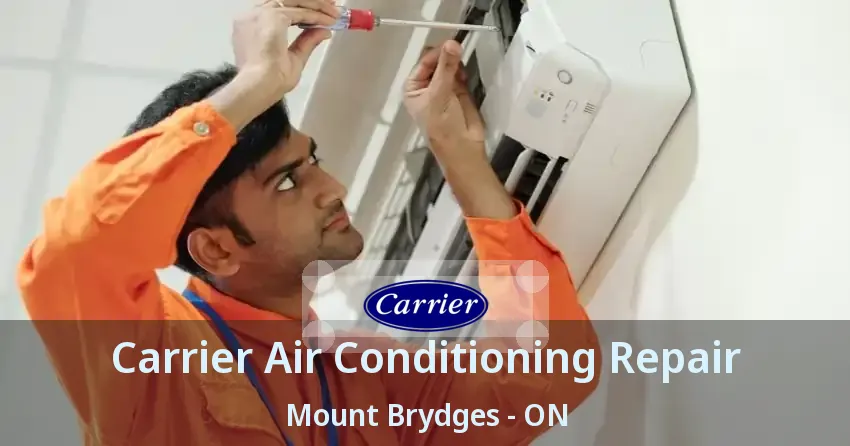 Carrier Air Conditioning Repair Mount Brydges - ON