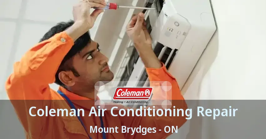 Coleman Air Conditioning Repair Mount Brydges - ON