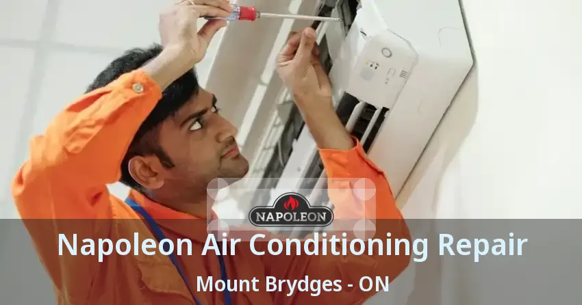 Napoleon Air Conditioning Repair Mount Brydges - ON