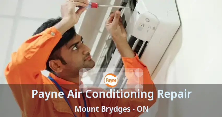 Payne Air Conditioning Repair Mount Brydges - ON