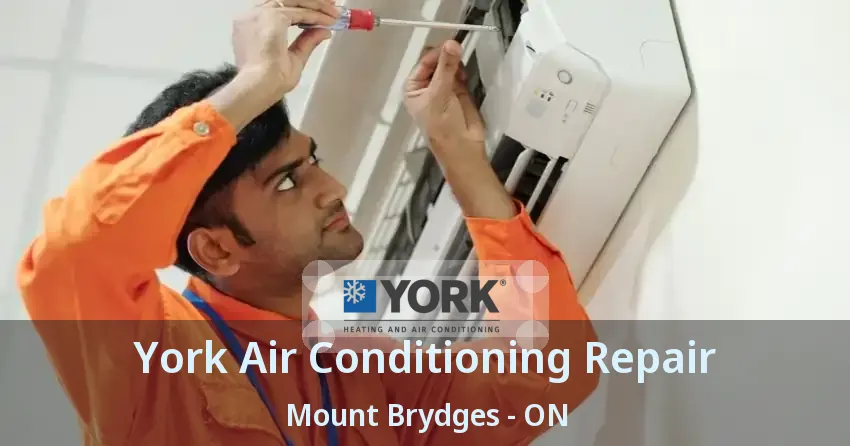 York Air Conditioning Repair Mount Brydges - ON