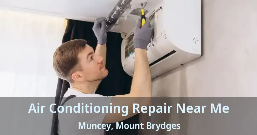 Air Conditioning Repair Near Me Muncey, Mount Brydges - ON