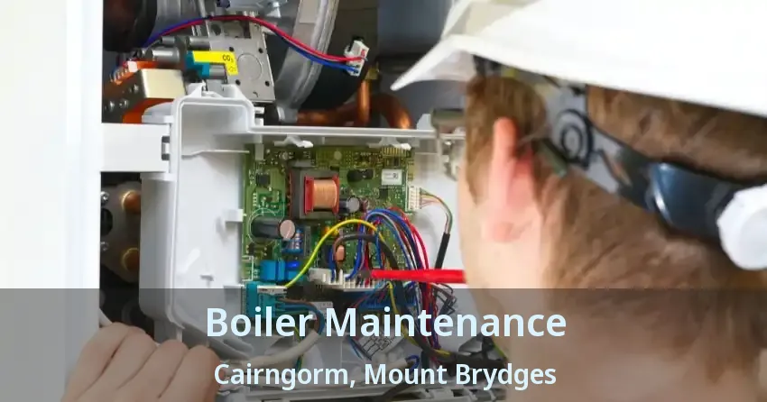Boiler Maintenance Cairngorm, Mount Brydges - ON