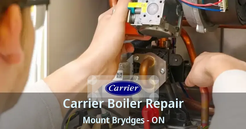 Carrier Boiler Repair Mount Brydges - ON