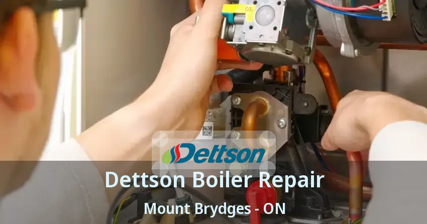 Dettson Boiler Repair Mount Brydges - ON