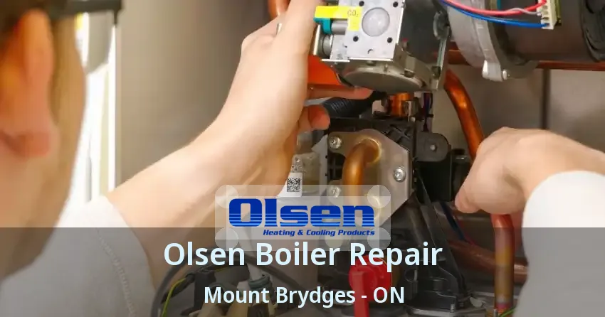 Olsen Boiler Repair Mount Brydges - ON