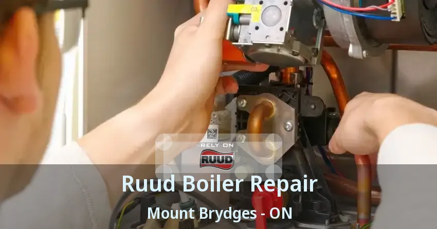 Ruud Boiler Repair Mount Brydges - ON