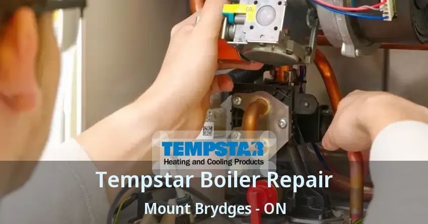 Tempstar Boiler Repair Mount Brydges - ON
