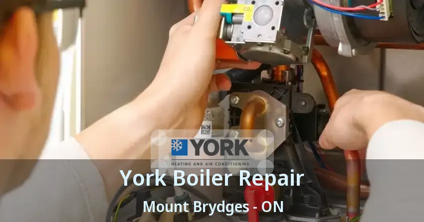 York Boiler Repair Mount Brydges - ON