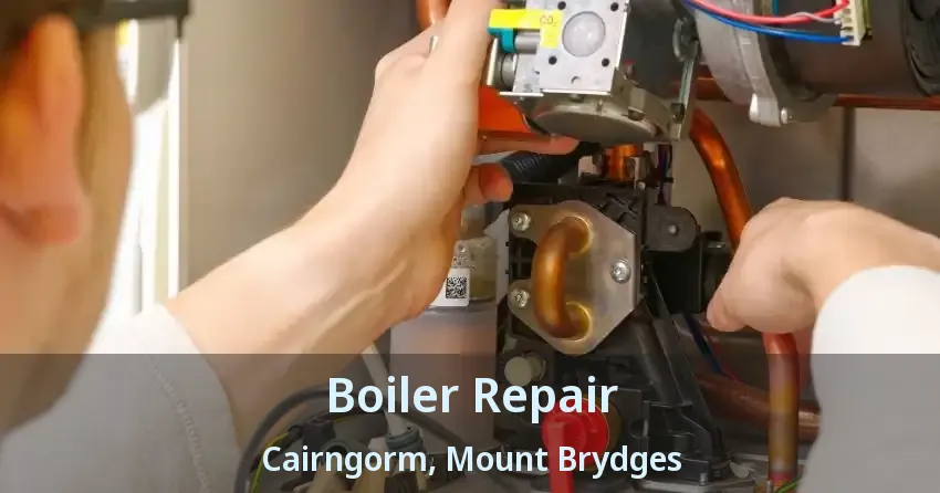 Boiler Repair Cairngorm, Mount Brydges - ON