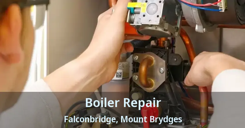 Boiler Repair Falconbridge, Mount Brydges - ON
