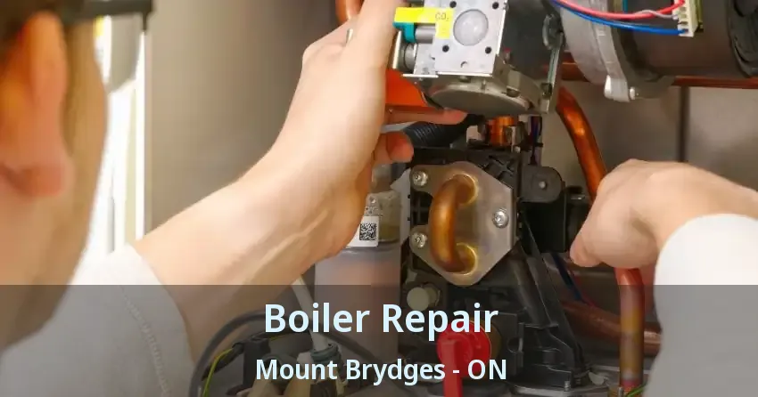 Boiler Repair Mount Brydges - ON