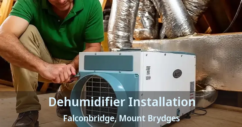 Dehumidifier Installation Falconbridge, Mount Brydges - ON