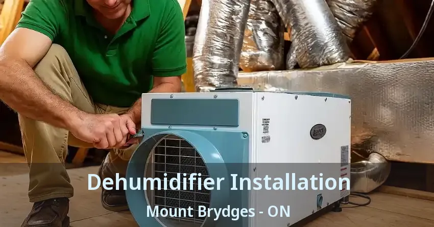 Dehumidifier Installation Mount Brydges - ON