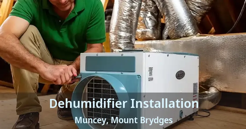 Dehumidifier Installation Muncey, Mount Brydges - ON