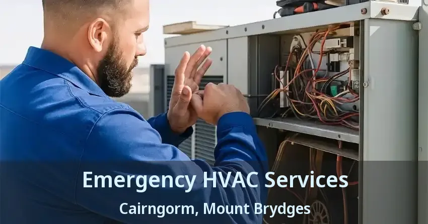 Emergency HVAC Services Cairngorm, Mount Brydges - ON