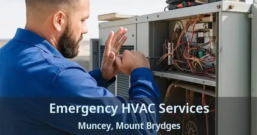 Emergency HVAC Services Muncey, Mount Brydges - ON