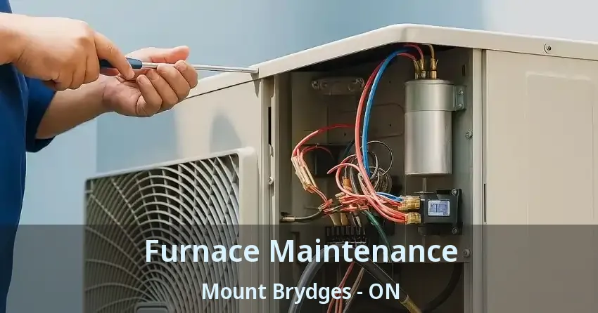 Furnace Maintenance Mount Brydges - ON