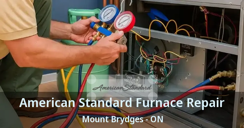 American Standard Furnace Repair Mount Brydges - ON