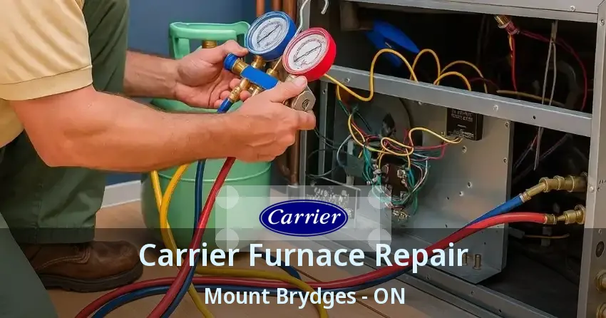 Carrier Furnace Repair Mount Brydges - ON