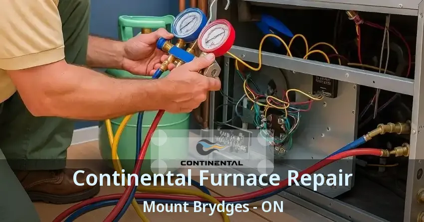 Continental Furnace Repair Mount Brydges - ON