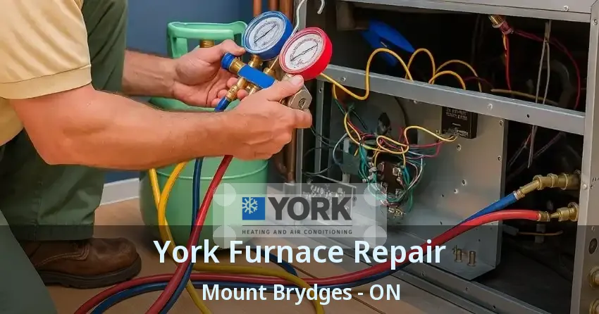 York Furnace Repair Mount Brydges - ON