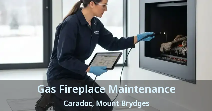 Gas Fireplace Maintenance Caradoc, Mount Brydges - ON