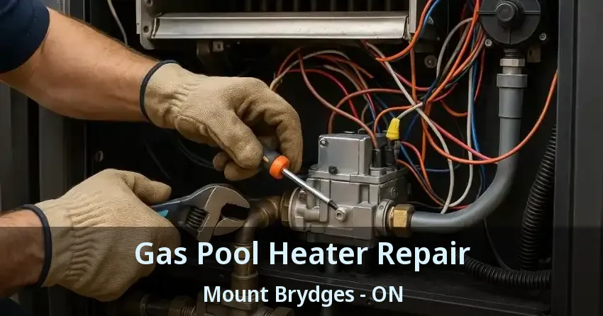 Gas Pool Heater Repair Mount Brydges - ON
