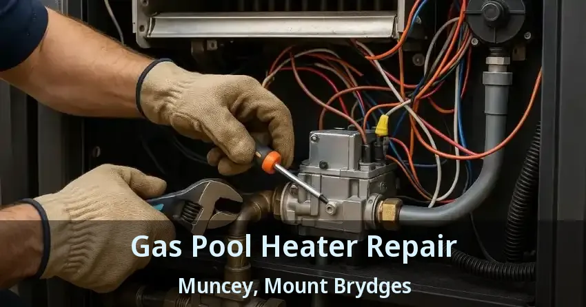Gas Pool Heater Repair Muncey, Mount Brydges - ON