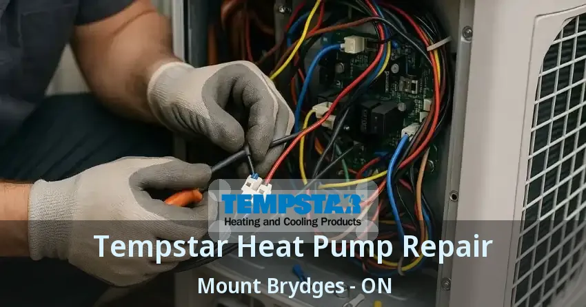 Tempstar Heat Pump Repair Mount Brydges - ON