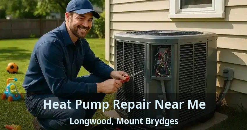 Heat Pump Repair Near Me Longwood, Mount Brydges - ON