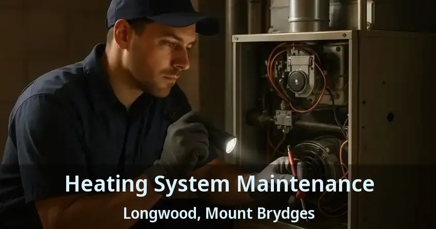 Heating System Maintenance Longwood, Mount Brydges - ON