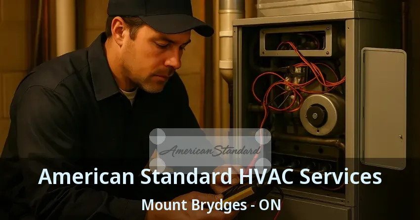 American Standard HVAC Services Mount Brydges - ON