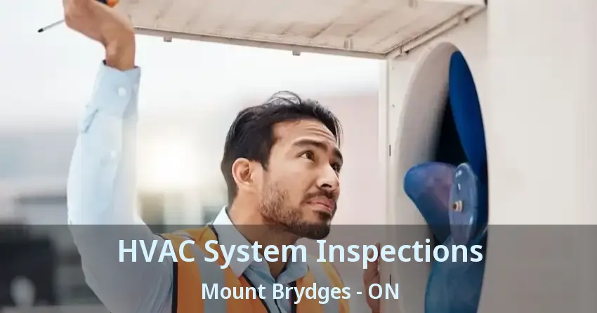HVAC System Inspections Mount Brydges - ON