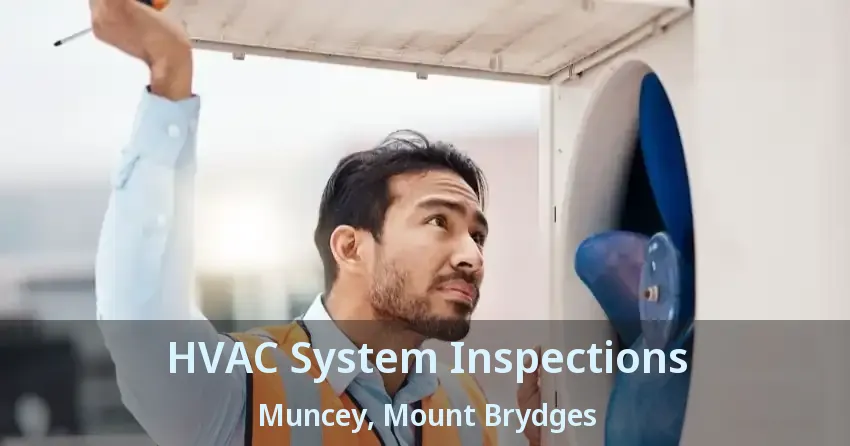 HVAC System Inspections Muncey, Mount Brydges - ON