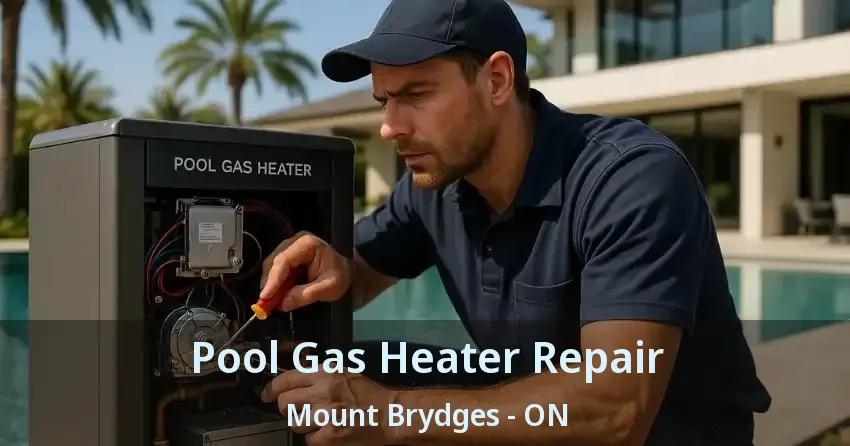 Pool Gas Heater Repair Mount Brydges - ON