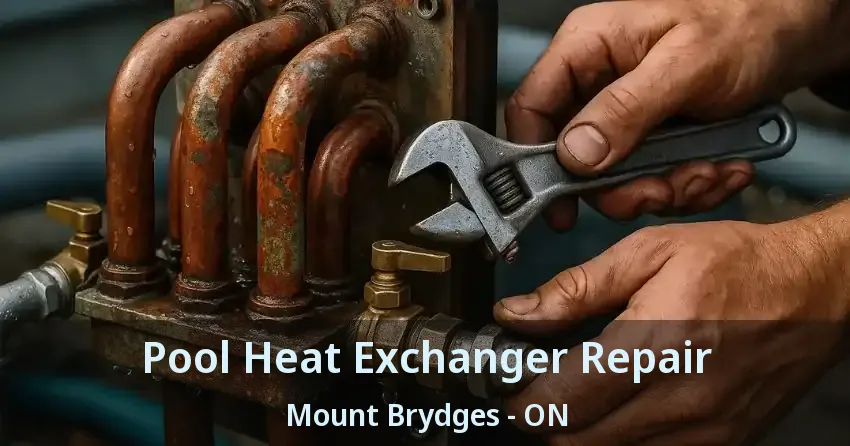 Pool Heat Exchanger Repair Mount Brydges - ON