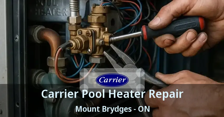 Carrier Pool Heater Repair Mount Brydges - ON