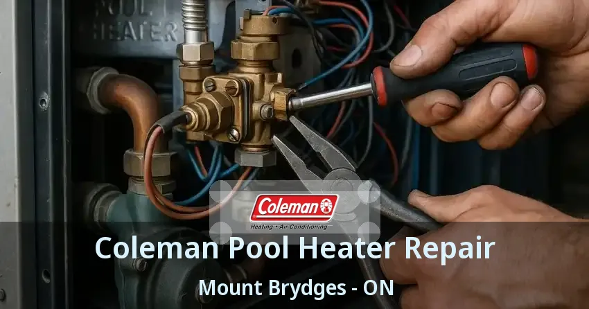 Coleman Pool Heater Repair Mount Brydges - ON