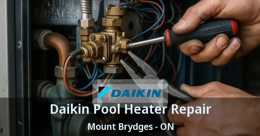 Daikin Pool Heater Repair Mount Brydges - ON