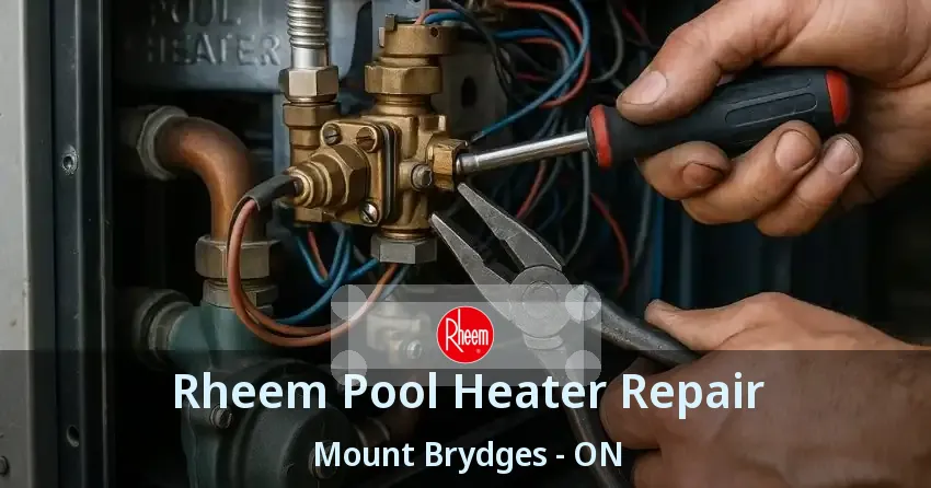 Rheem Pool Heater Repair Mount Brydges - ON