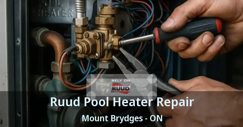 Ruud Pool Heater Repair Mount Brydges - ON