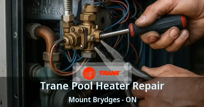 Trane Pool Heater Repair Mount Brydges - ON