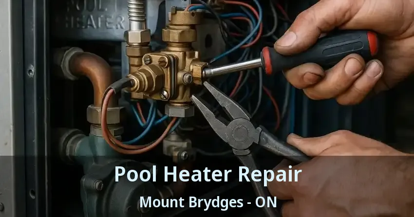 Pool Heater Repair Mount Brydges - ON