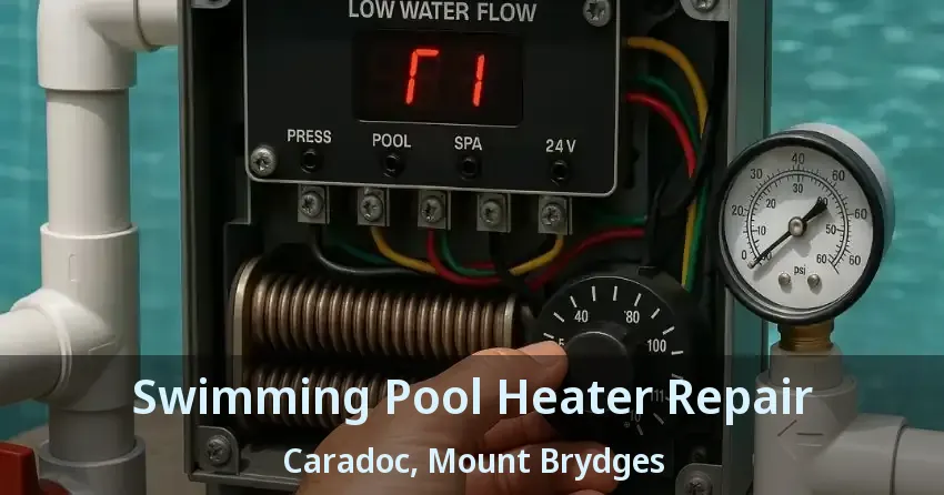 Swimming Pool Heater Repair Caradoc, Mount Brydges - ON